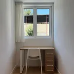 Pillotegi Parking Gratuito Appartement